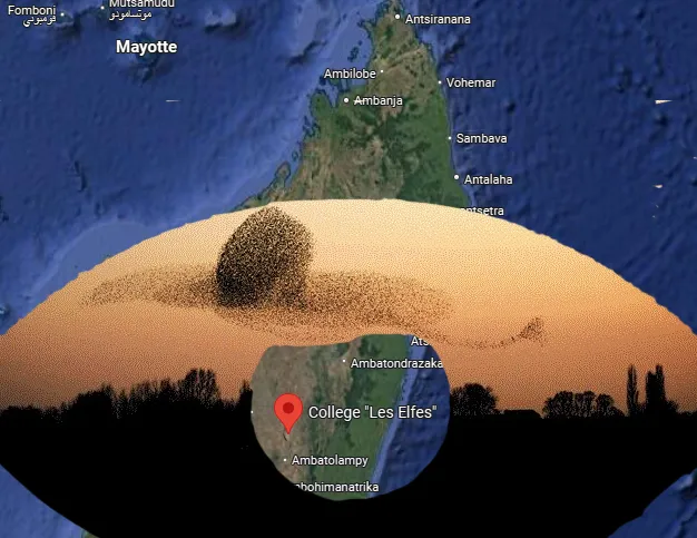 Les Elfes Madagascar